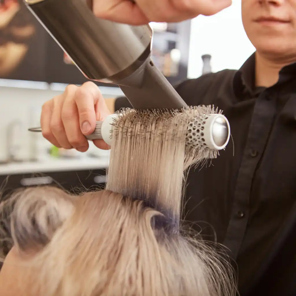 A person is using a silver round brush and a silver blow dryer to curl and style another person's blonde hair in a salon setting. The stylist wears a black shirt and is partially visible in the background.